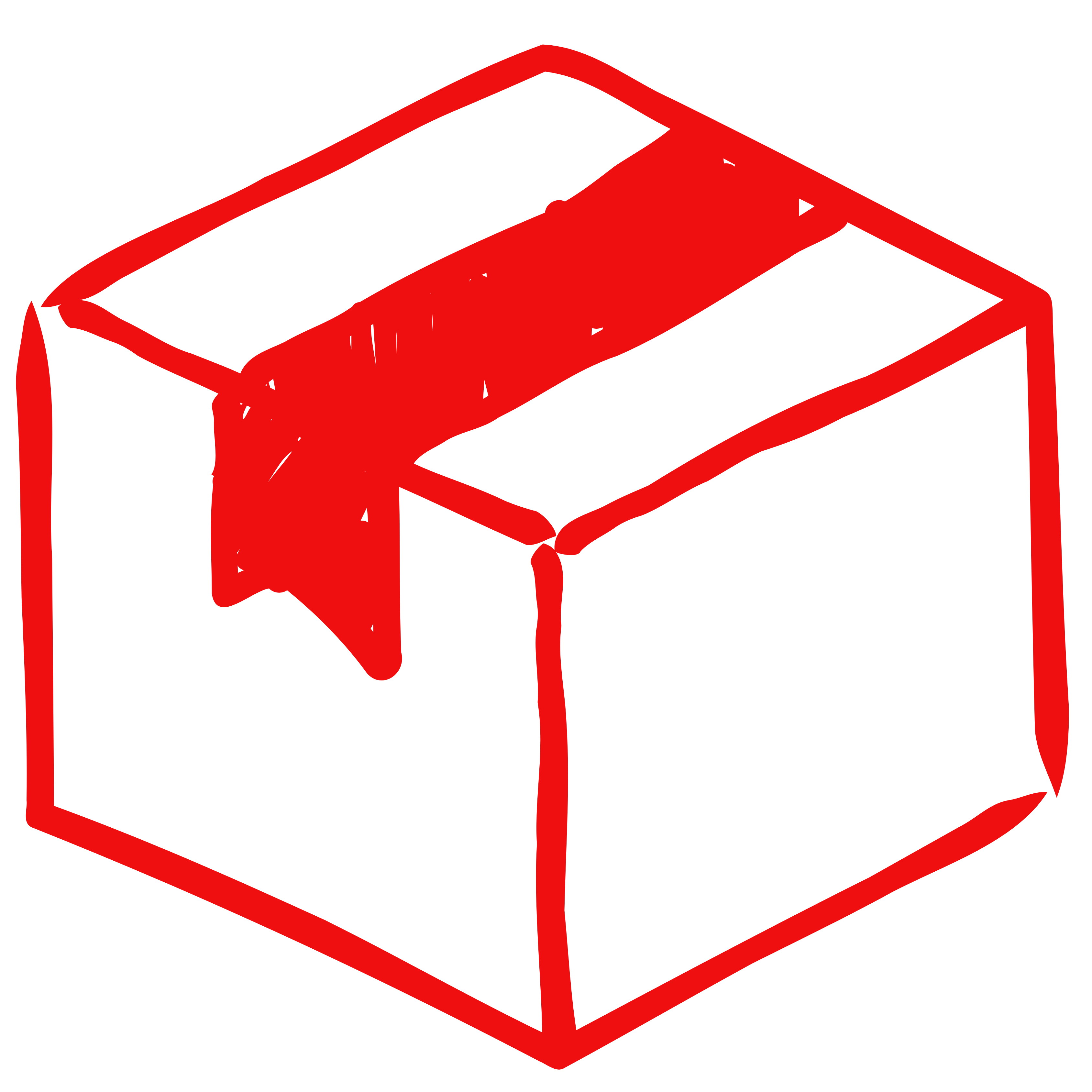 Packaging Service
